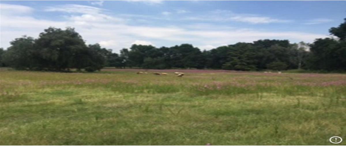 Foto de terreno comercial en venta en santiago tlapanaloya 0, parque industrial tepeji, tepeji del río de ocampo, hidalgo, 28121452 No. 04