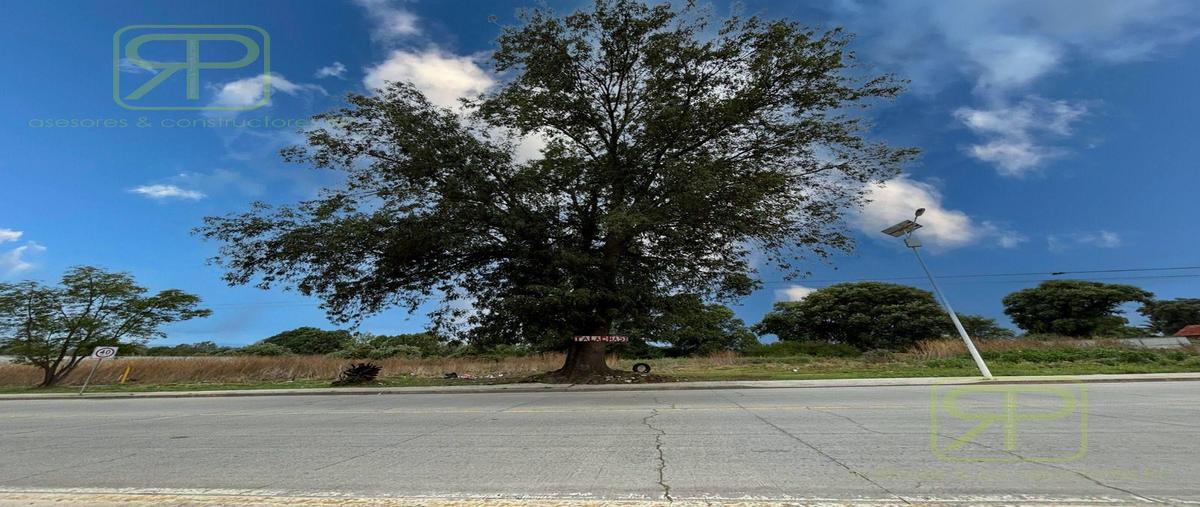 Foto de terreno habitacional en venta en  , santiago tulaltepc centro, santiago tulantepec de lugo guerrero, hidalgo, 29907262 No. 03