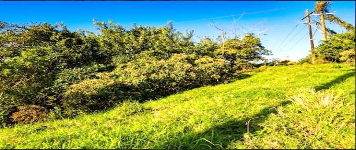 Foto de terreno habitacional en venta en  , santiago tuxtla centro, santiago tuxtla, veracruz de ignacio de la llave, 30415405 No. 05