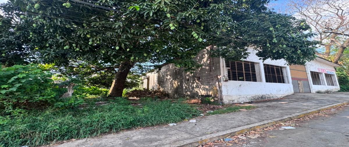 Foto de bodega en renta en  , santiago tuxtla centro, santiago tuxtla, veracruz de ignacio de la llave, 0 No. 03