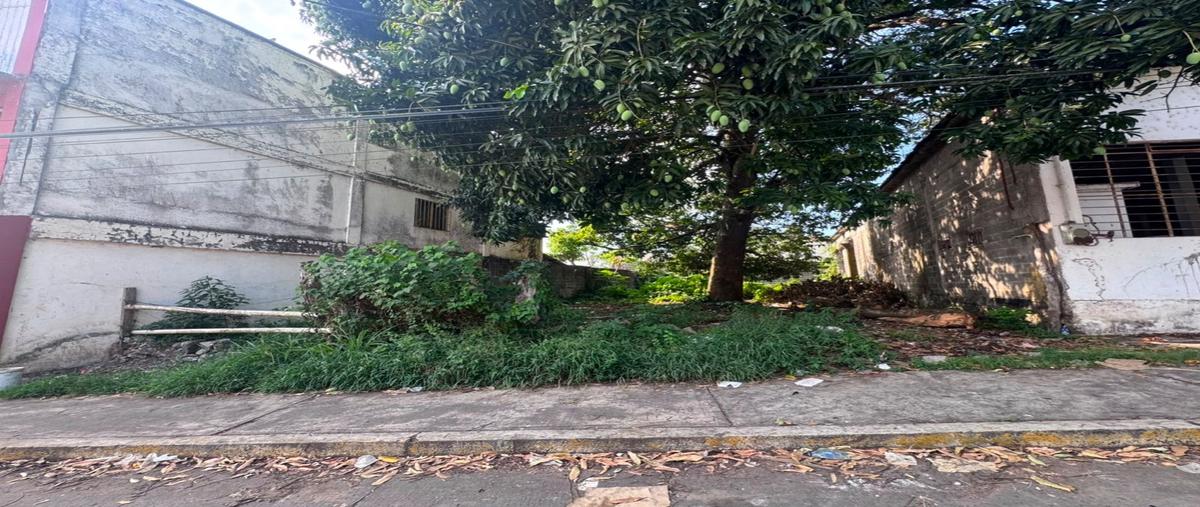 Foto de bodega en renta en  , santiago tuxtla centro, santiago tuxtla, veracruz de ignacio de la llave, 0 No. 05