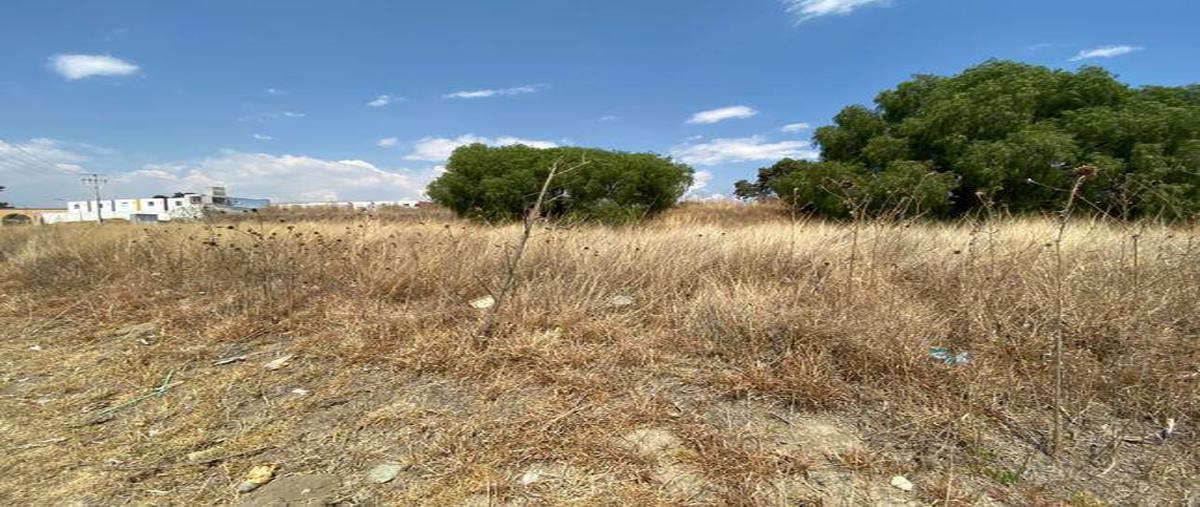 Foto de terreno habitacional en venta en  , santiago villalta, atlangatepec, tlaxcala, 0 No. 03