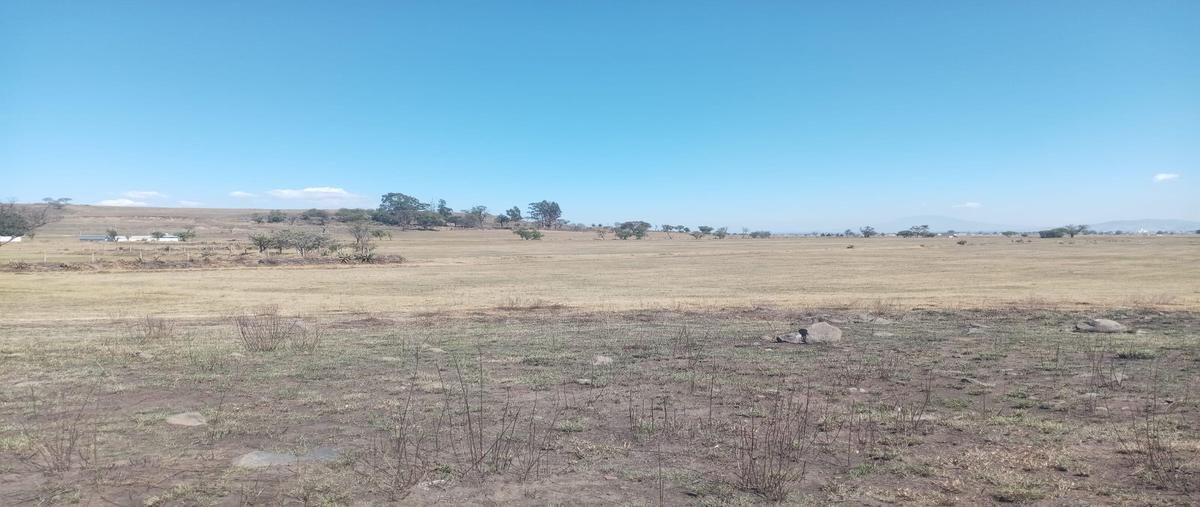 Foto de terreno habitacional en venta en  , santiaguito tlalcilalcali, almoloya de juárez, méxico, 0 No. 03