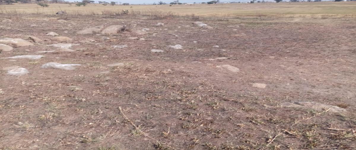 Foto de terreno habitacional en venta en  , santiaguito tlalcilalcali, almoloya de juárez, méxico, 0 No. 04