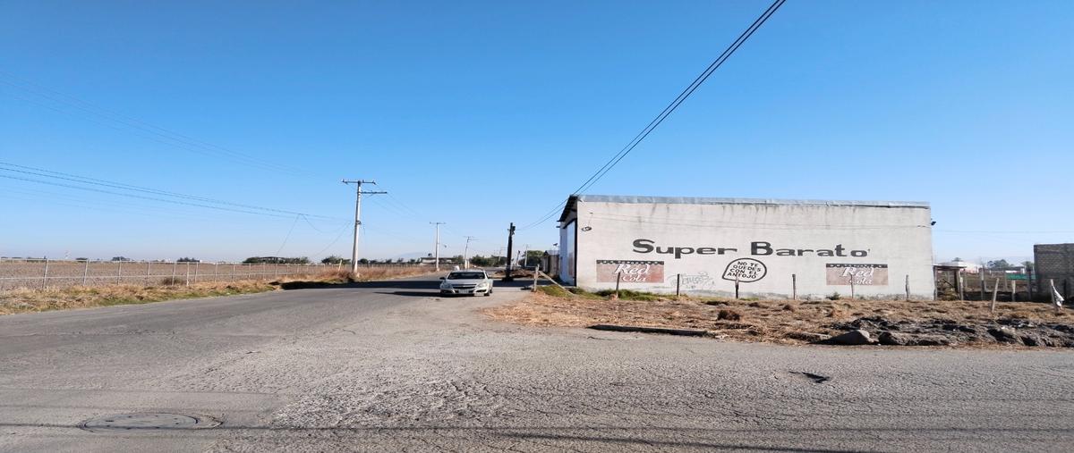 Foto de terreno habitacional en venta en  , santiaguito tlalcilalcali, almoloya de juárez, méxico, 0 No. 03