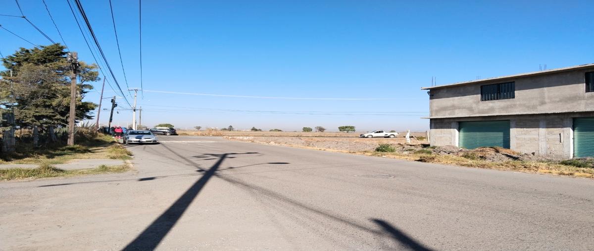 Foto de terreno habitacional en venta en  , santiaguito tlalcilalcali, almoloya de juárez, méxico, 0 No. 05