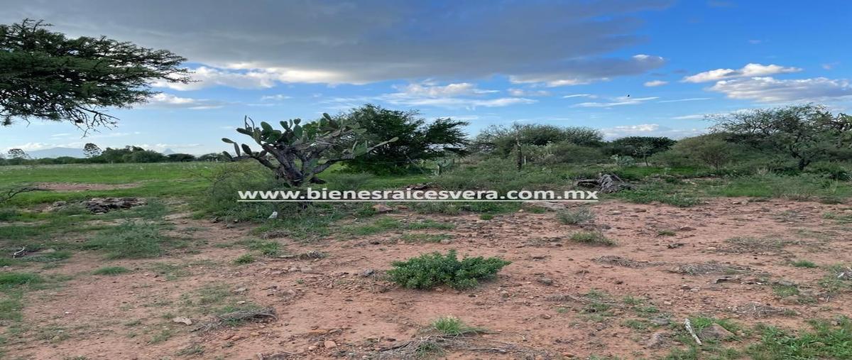Foto de terreno habitacional en venta en  , santillán, tequisquiapan, querétaro, 26795659 No. 04