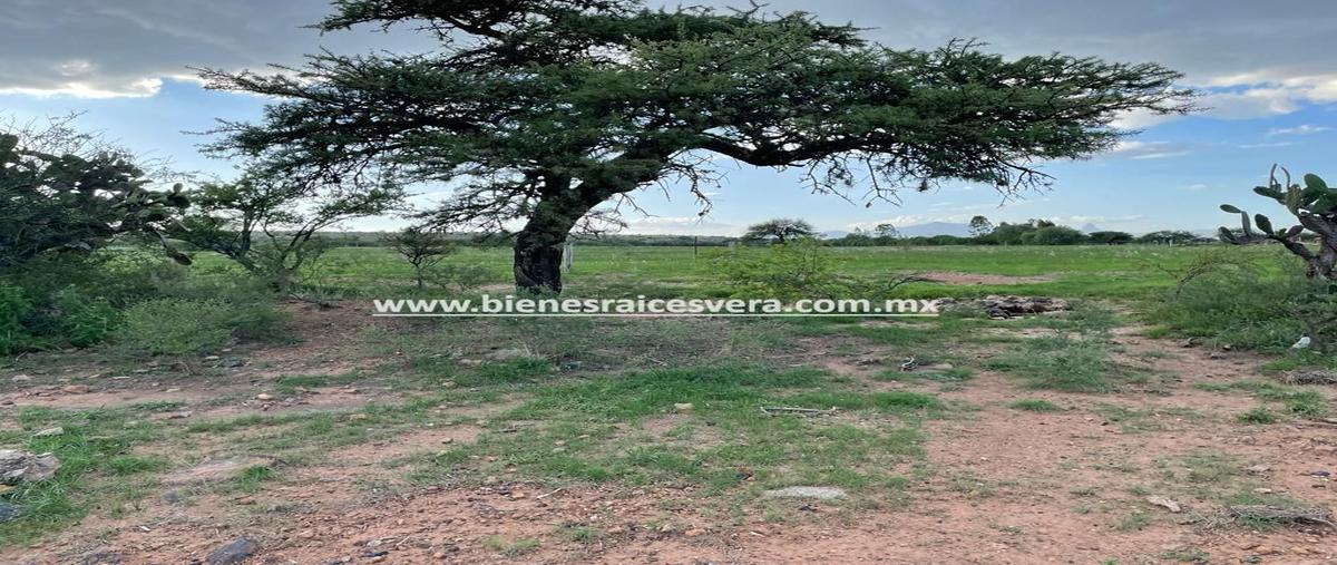 Foto de terreno habitacional en venta en  , santillán, tequisquiapan, querétaro, 26795659 No. 05