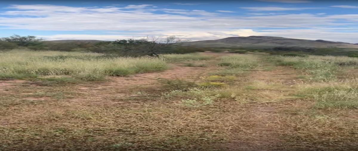 Foto de rancho en venta en  , santo domingo, ahumada, chihuahua, 0 No. 03