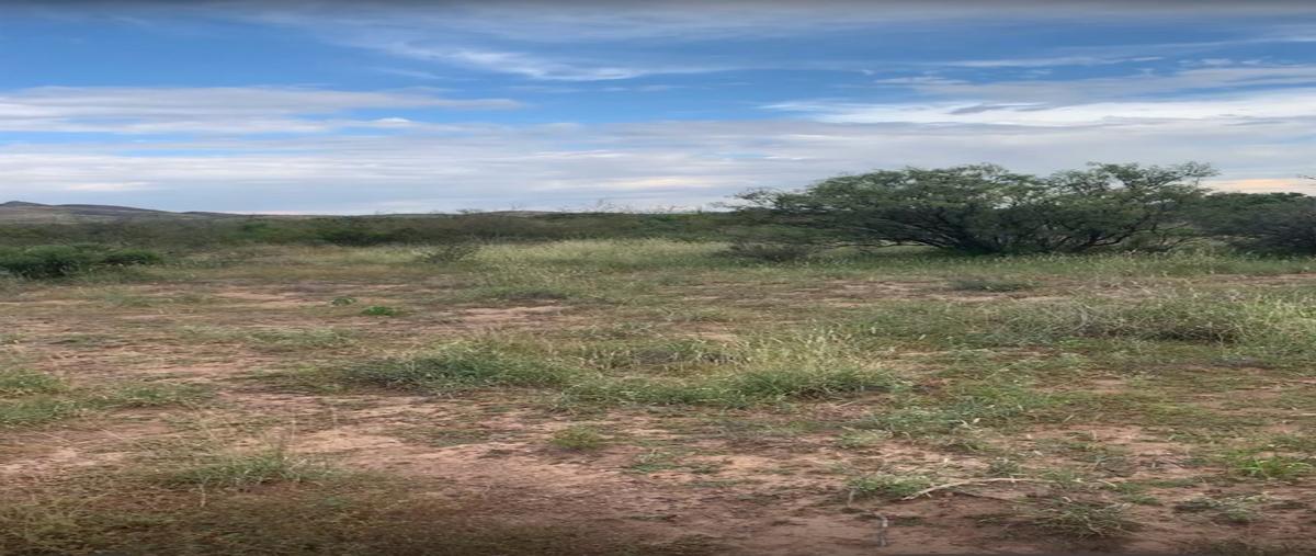 Foto de rancho en venta en  , santo domingo, ahumada, chihuahua, 0 No. 04