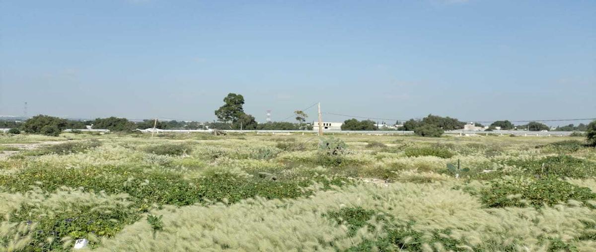 Foto de terreno habitacional en venta en  , santo domingo ajoloapan, tecámac, méxico, 30630453 No. 04
