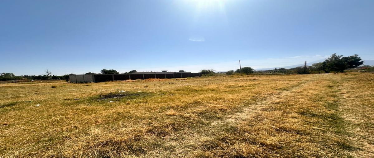 Foto de terreno habitacional en , santo domingo atoyatempan, atlixco, puebla, 31227291 foto 03 Foto de terreno habitacional en venta en , santo domingo atoyatempan, atlixco, puebla, 31227291 No. 03