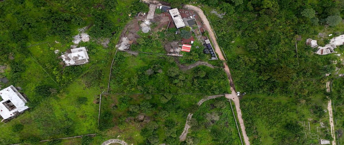Foto de terreno habitacional en venta en  , santo domingo ocotitlán, tepoztlán, morelos, 0 No. 03