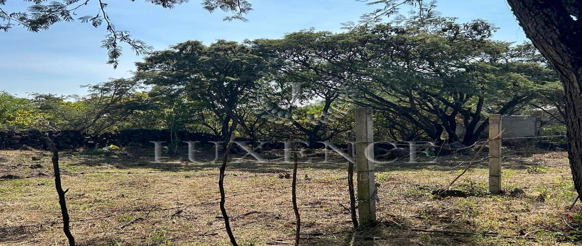 Foto de terreno habitacional en venta en  , santo domingo ocotitlán, tepoztlán, morelos, 0 No. 03
