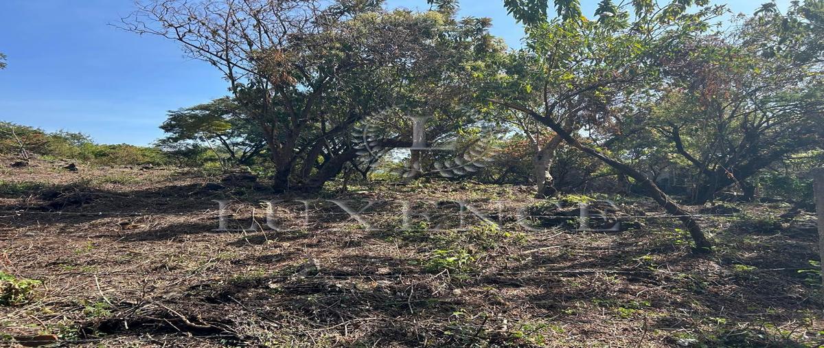 Foto de terreno habitacional en venta en  , santo domingo ocotitlán, tepoztlán, morelos, 0 No. 04