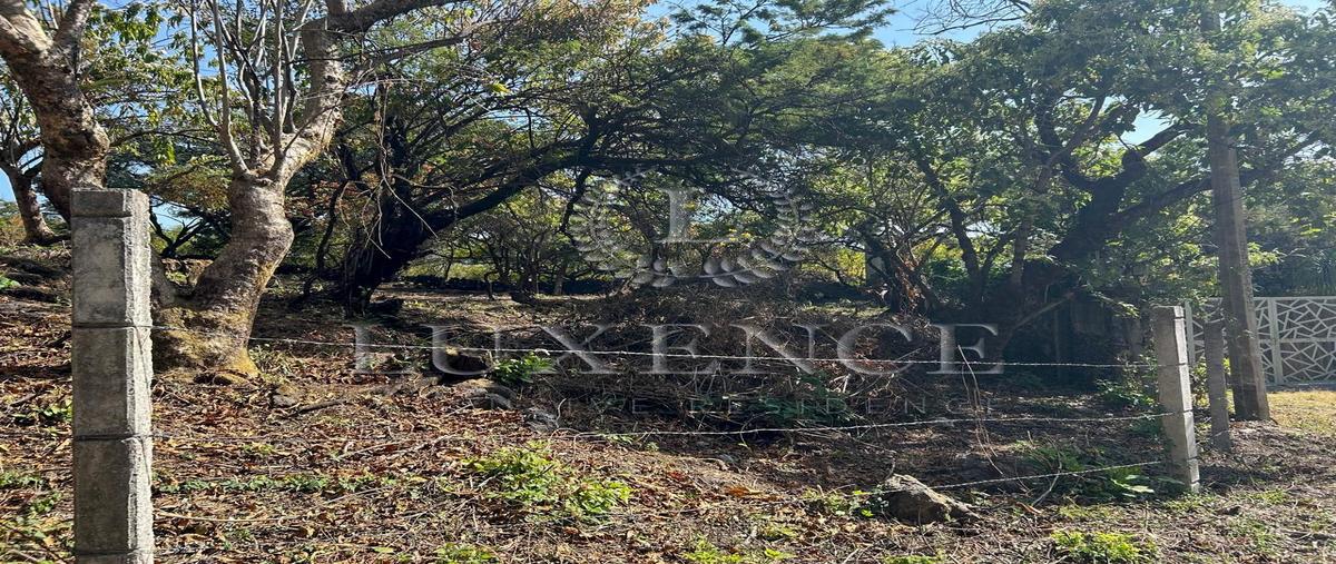 Foto de terreno habitacional en venta en  , santo domingo ocotitlán, tepoztlán, morelos, 0 No. 05