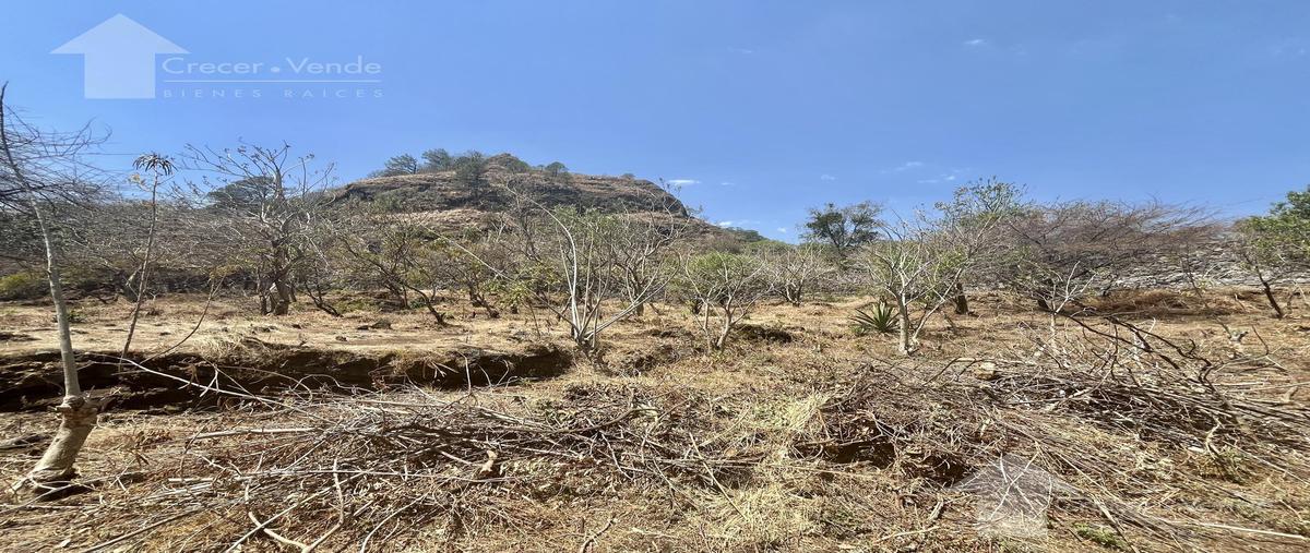 Foto de terreno habitacional en , santo domingo ocotitlán, tepoztlán, morelos, 0 foto 03 Foto de terreno habitacional en venta en , santo domingo ocotitlán, tepoztlán, morelos, 0 No. 03