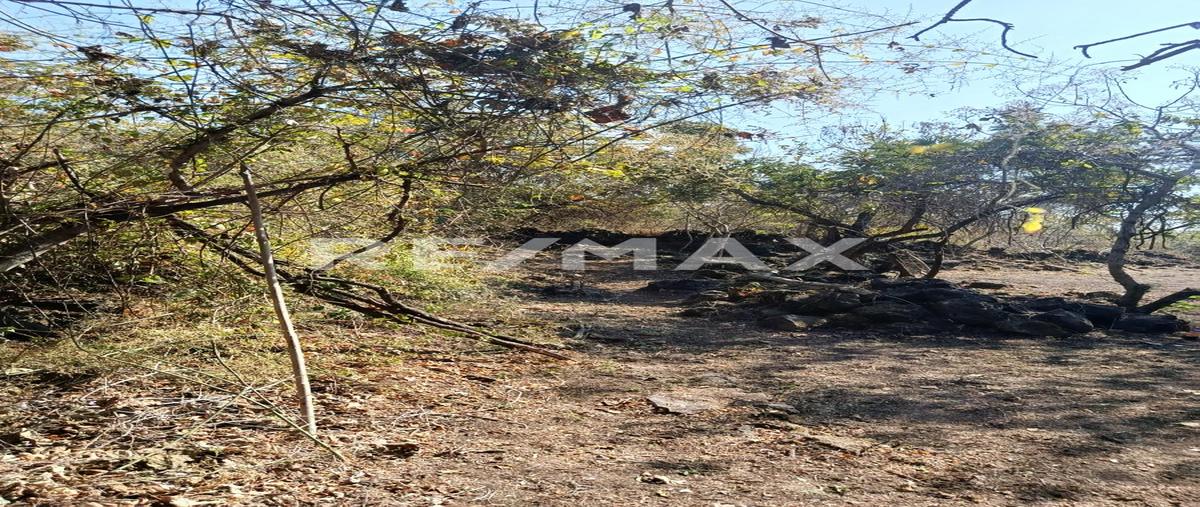 Foto de terreno habitacional en venta en santo domingo , santo domingo, tepoztlán, morelos, 0 No. 03
