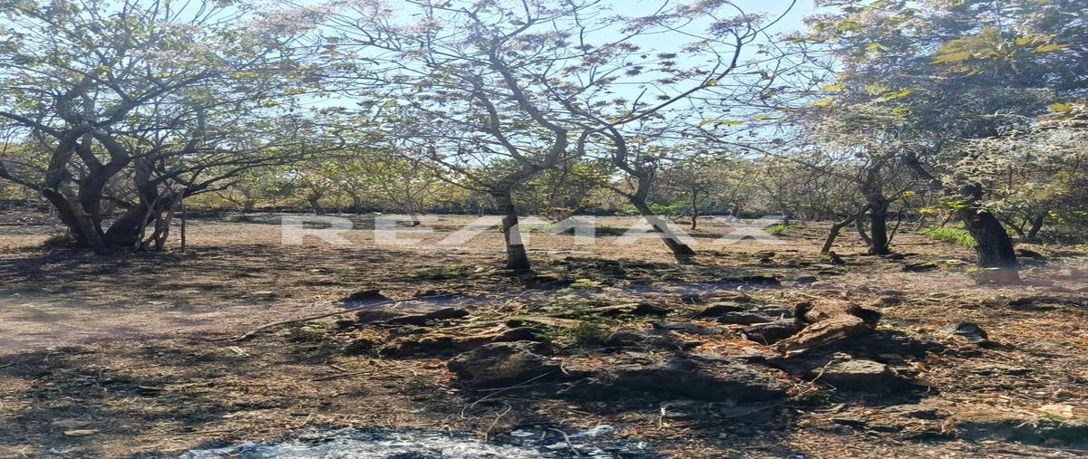 Foto de terreno habitacional en venta en santo domingo , santo domingo, tepoztlán, morelos, 0 No. 04