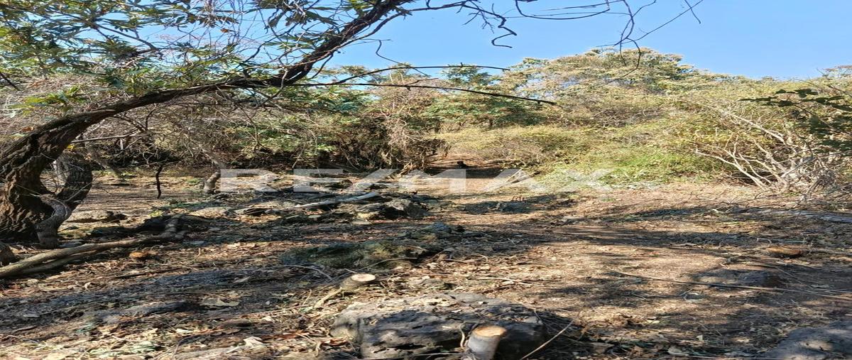 Foto de terreno habitacional en venta en santo domingo , santo domingo, tepoztlán, morelos, 0 No. 05
