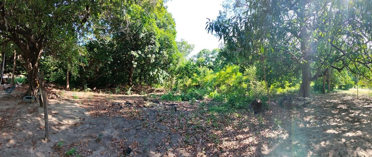 Foto de terreno habitacional en venta en  , santo domingo tehuantepec centro, santo domingo tehuantepec, oaxaca, 30258034 No. 03