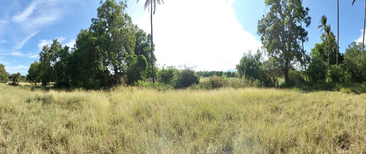 Foto de terreno habitacional en venta en  , santo domingo tehuantepec centro, santo domingo tehuantepec, oaxaca, 30258034 No. 04