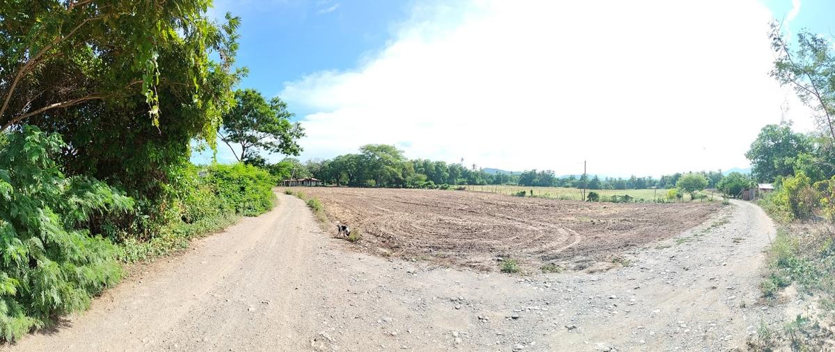 Foto de terreno habitacional en venta en  , santo domingo tehuantepec centro, santo domingo tehuantepec, oaxaca, 30258034 No. 05