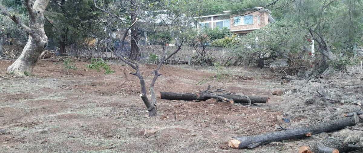 Foto de terreno habitacional en venta en  , santo domingo, tepoztlán, morelos, 20664106 No. 04