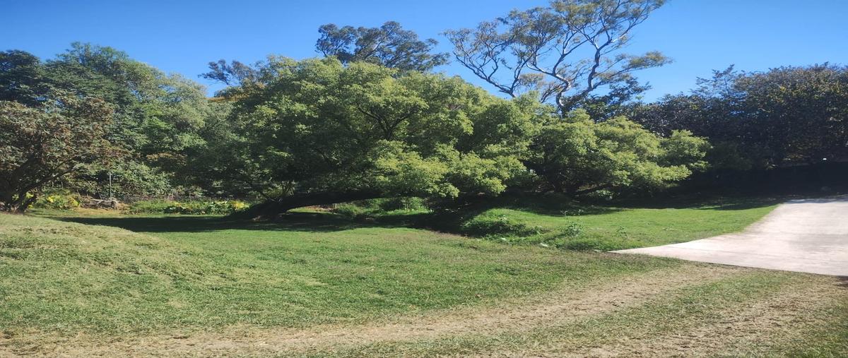Foto de terreno habitacional en venta en  , santo domingo, tepoztlán, morelos, 0 No. 03