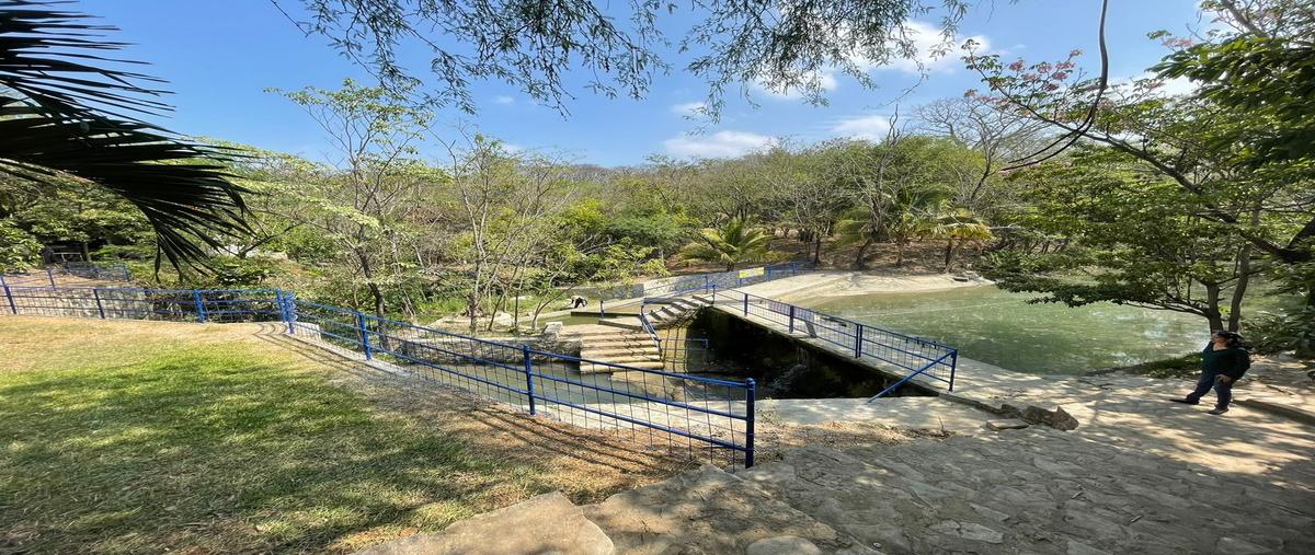 Foto de rancho en santo domingo whi307548, santo domingo, chiapa de corzo, chiapas, 0 foto 03 Foto de rancho en venta en santo domingo whi307548, santo domingo, chiapa de corzo, chiapas, 0 No. 03