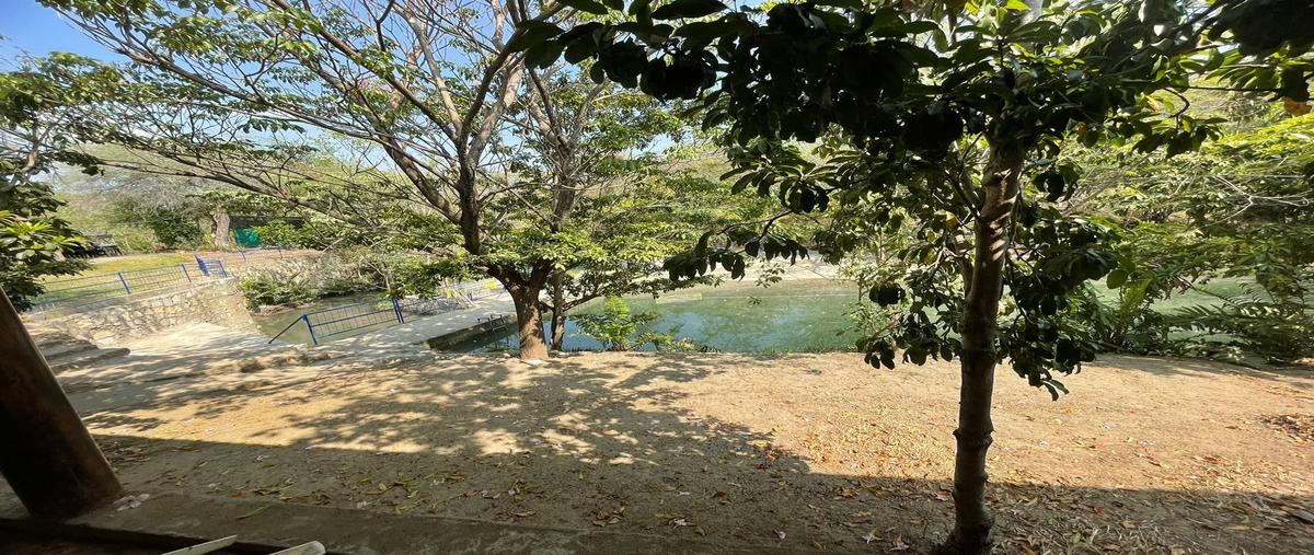 Foto de rancho en santo domingo whi307548, santo domingo, chiapa de corzo, chiapas, 0 foto 05 Foto de rancho en venta en santo domingo whi307548, santo domingo, chiapa de corzo, chiapas, 0 No. 05