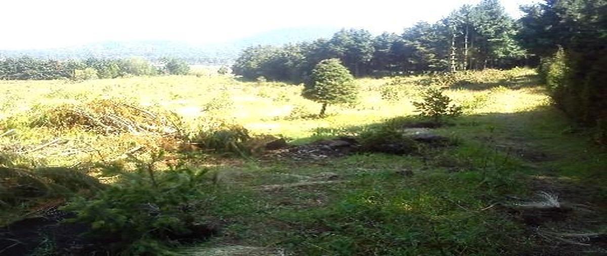 Foto de terreno habitacional en venta en  , santo tomas ajusco, tlalpan, df / cdmx, 0 No. 03