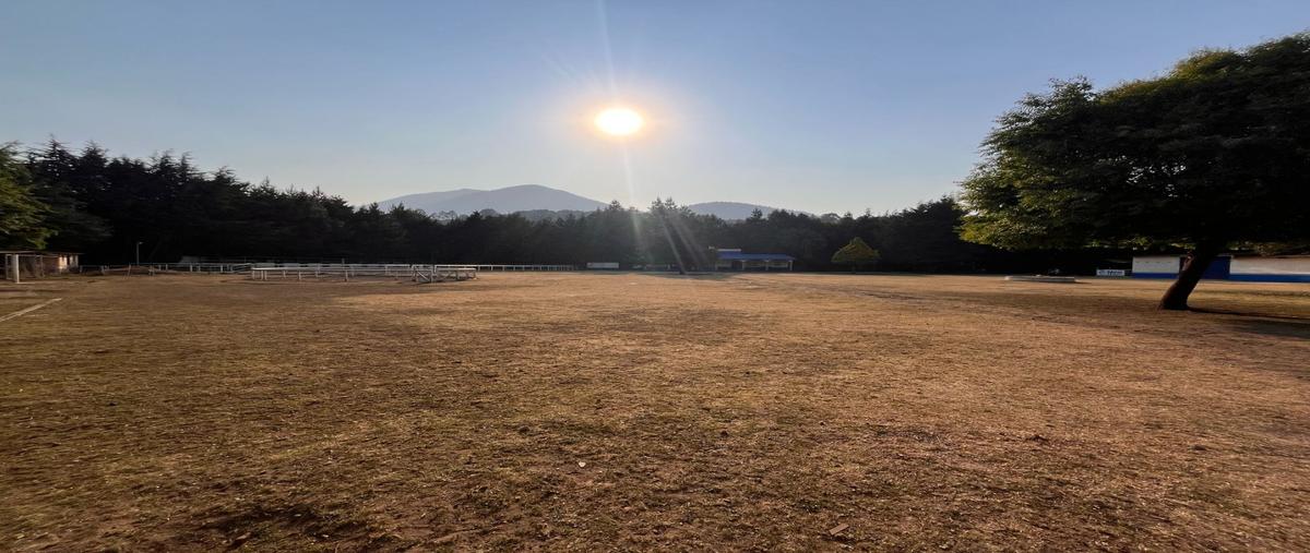 Foto de rancho en venta en  , santo tomas ajusco, tlalpan, df / cdmx, 0 No. 03