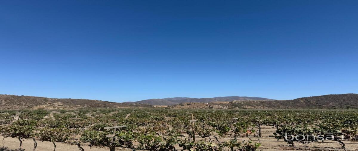 Foto de rancho en venta en  , santo tomas, ensenada, baja california, 30274932 No. 01