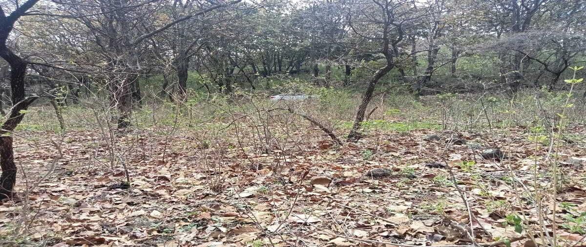 Foto de terreno comercial en venta en santo toribio , prados del roble, tepatitlán de morelos, jalisco, 29949555 No. 05