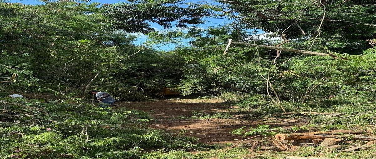 Foto de terreno habitacional en venta en saramullo , club de golf la ceiba, mérida, yucatán, 0 No. 04