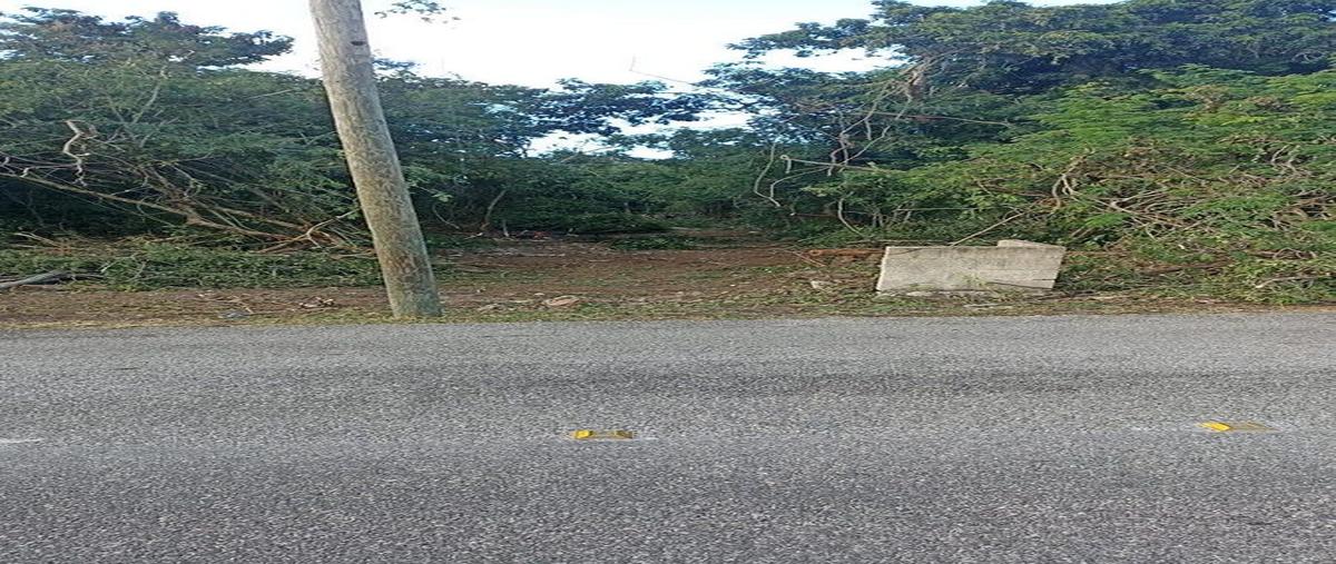 Foto de terreno habitacional en venta en saramullo , club de golf la ceiba, mérida, yucatán, 0 No. 06