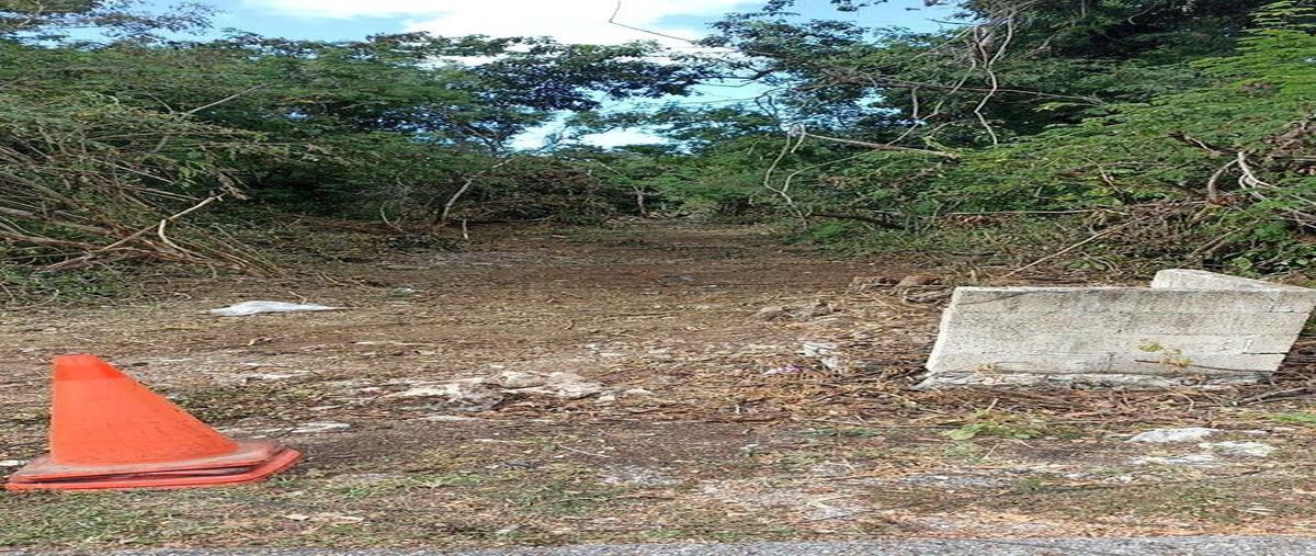 Foto de terreno habitacional en venta en saramullo , club de golf la ceiba, mérida, yucatán, 0 No. 07