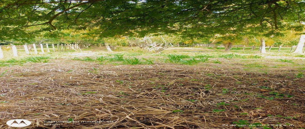 Foto de terreno habitacional en venta en  , sargento lópez 1ra. sección, comalcalco, tabasco, 27049224 No. 02