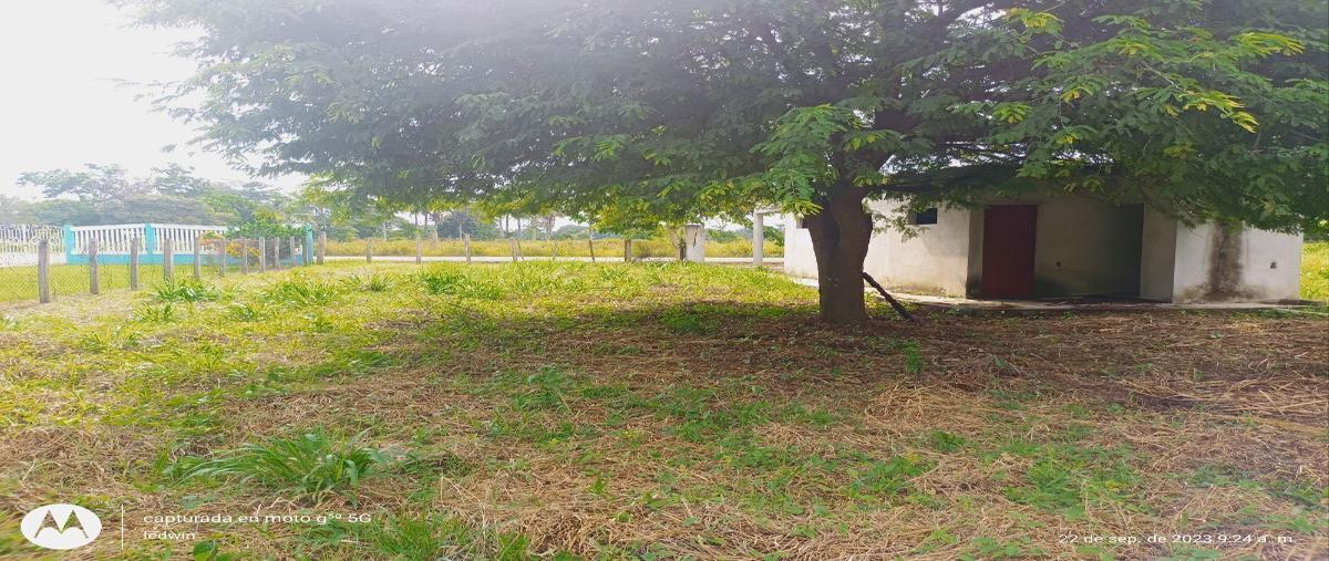 Foto de terreno habitacional en venta en  , sargento lópez 1ra. sección, comalcalco, tabasco, 27049224 No. 04
