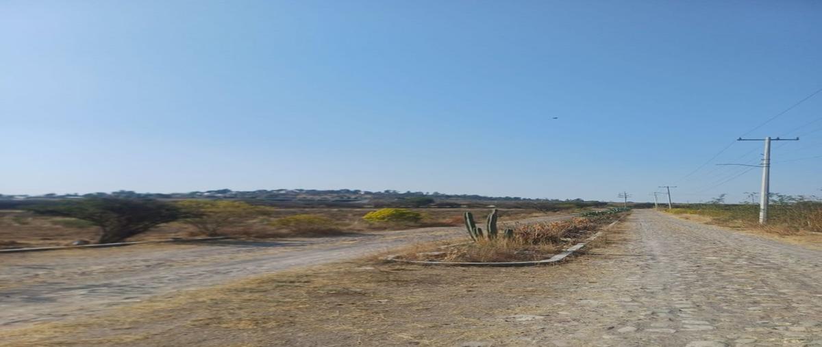 Foto de terreno habitacional en venta en sauce , huimilpan centro, huimilpan, querétaro, 0 No. 03
