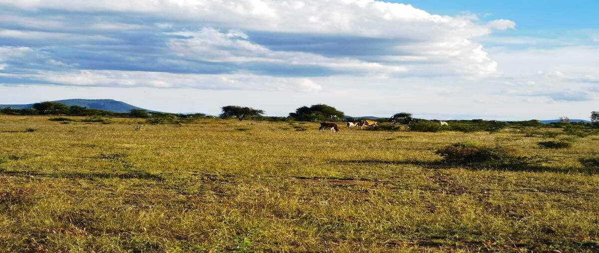 Foto de terreno habitacional en sauz , el sáuz alto, pedro escobedo, querétaro, 0 foto 01 Foto de terreno habitacional en venta en sauz , el sáuz alto, pedro escobedo, querétaro, 0 No. 01