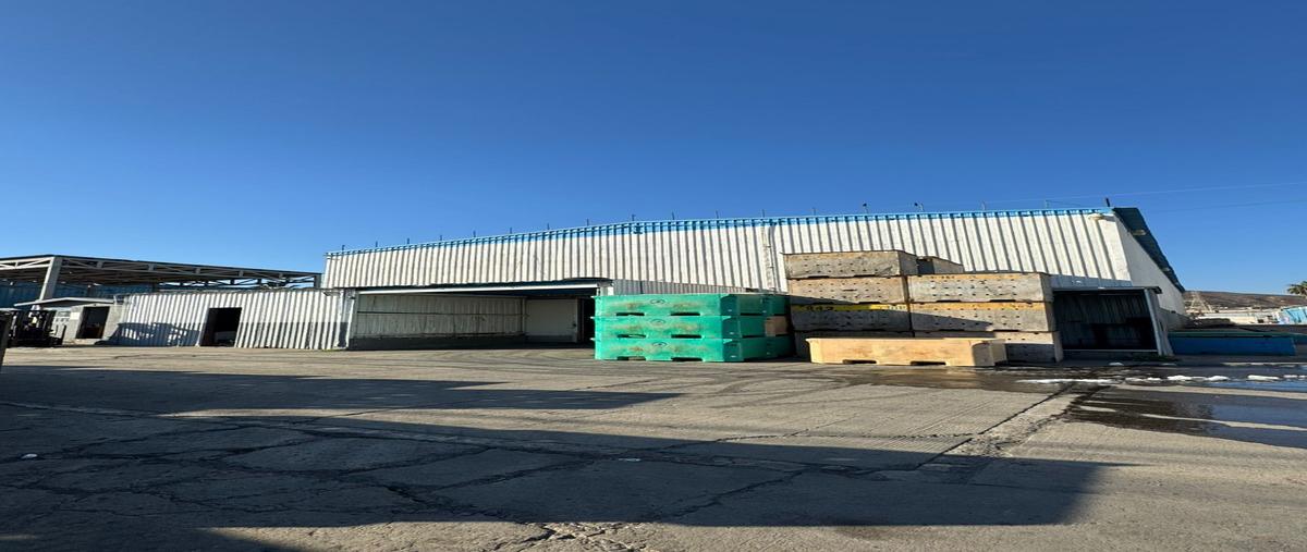Foto de nave industrial en renta en sauzal , el sauzal, ensenada, baja california, 30370795 No. 03