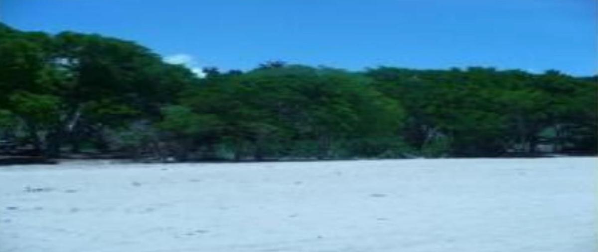 Foto de terreno habitacional en venta en  , sayulita, bahía de banderas, nayarit, 19182876 No. 03