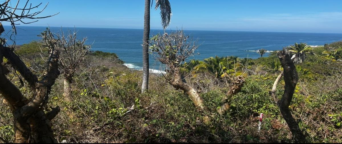 Foto de terreno habitacional en venta en  , sayulita, bahía de banderas, nayarit, 0 No. 03