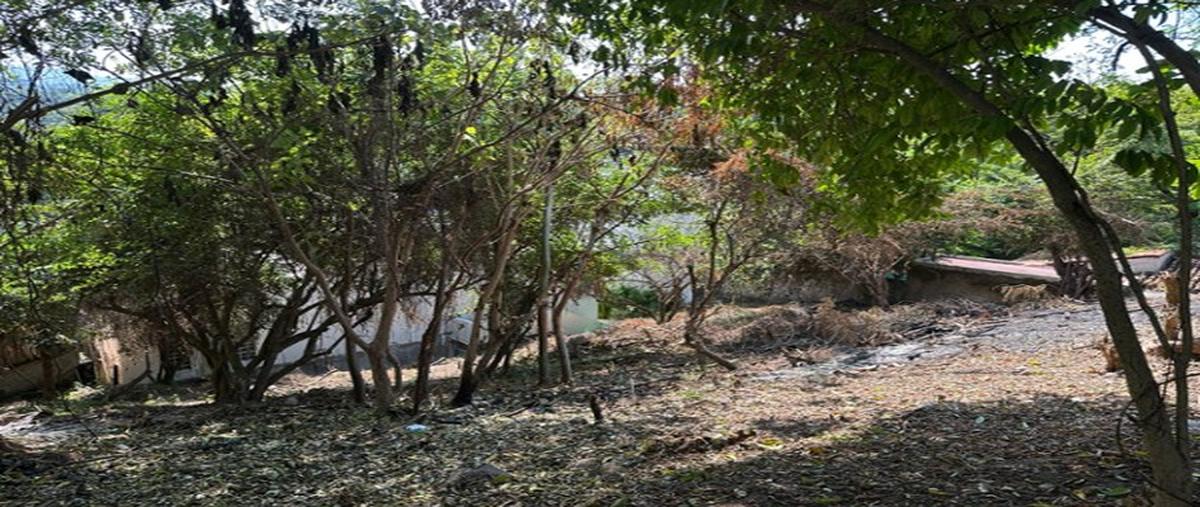 Foto de terreno comercial en , sayulita, bahía de banderas, nayarit, 0 foto 01 Foto de terreno comercial en venta en , sayulita, bahía de banderas, nayarit, 0 No. 01