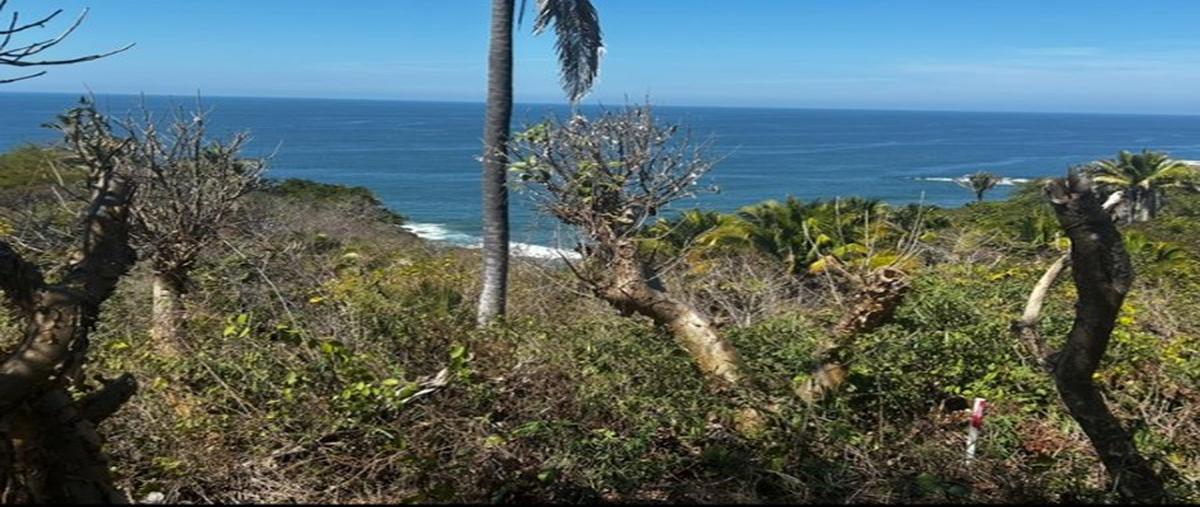 Foto de terreno comercial en venta en  , sayulita, bahía de banderas, nayarit, 0 No. 03