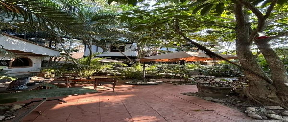 Foto de local en venta en  , sayulita, bahía de banderas, nayarit, 30114041 No. 05