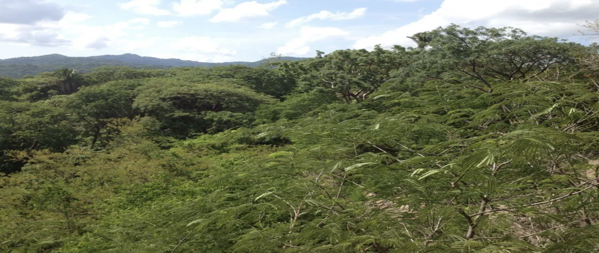 Foto de terreno habitacional en venta en sayulita , sayulita, bahía de banderas, nayarit, 30041634 No. 03