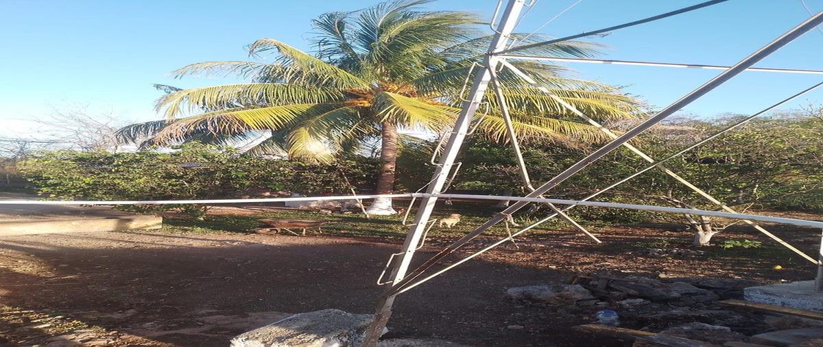 Foto de rancho en venta en s/c , buctzotz, buctzotz, yucatán, 0 No. 04